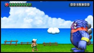 Adventure Island: The Beginning - Nintendo Wii Playthrough 【Longplays Land】