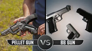 Pellet Gun vs BB Gun