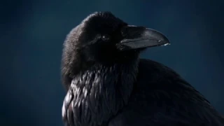 Black Lodge Singers - Crow Hop