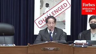 Jamie Raskin Leads House Oversight Committee Hearing On Book Bans And Threats To. Free Speech