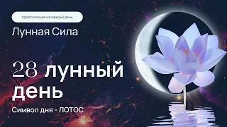 Курс "Лунная сила" - 28 лунный день: динамическая медитация на раскрытие чакр. Кундалини