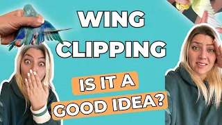 The PROBLEMS with Wing Clipping!