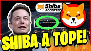 🤫 SI ERES HOLDER (DE SHIBA INU) TIENES QUE SABER ESTO! 💥 PROTEGE TUS SHIBA 🐀 Criptomonedas Binance ✅