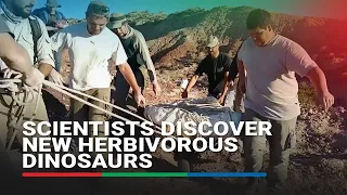 Scientists discover new herbivorous dinosaurs that roamed Argentina