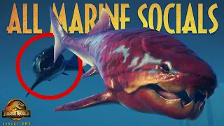 ALL MARINE SOCIAL ANIMATIONS (ranked from Worst to Best imo) | Jurassic World Evolution 2 Update 7
