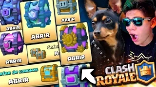 ¡Mi PERRO ABRE TODOS los COFRES de Clash Royale! - [ANTRAX] ☣