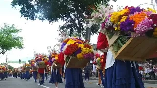 More than 500 flower farmers participate in Colombia’s Flower Festival