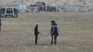 Мантубаевтар аулети Нурсултан Бексултан мырзалардын елден бата алу той кокпары 05 02 2023