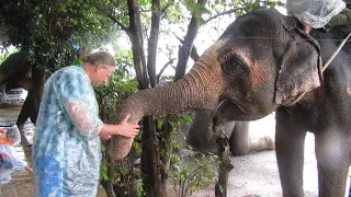 406 Вьетнам ДАКЛАК Я КОРМЛЮ СЛОНА С РУК Vietnam DAKLAK I FEED AN ELEPHANT WITH HANDS