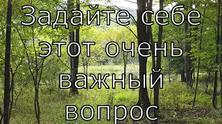 Арктурианский Совет  Задайте себе этот очень важный вопрос