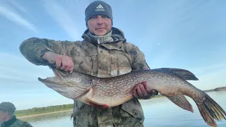 Щука на троллинг   /    Рыбалка троллингом  /  Fishing trolling  /  Big pike