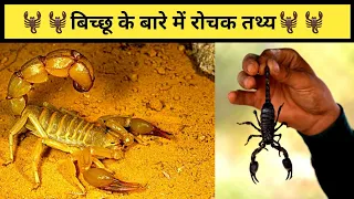 बिच्छू के बारे में 10 रोचक तथ्य | Amazing Facts About Scorpion | Scorpion Facts In Hindi | #shorts