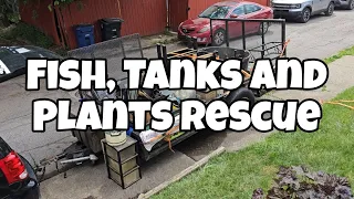 Fish, Tanks and Plants Rescue