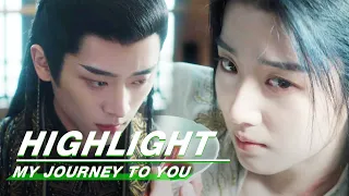 Highlight EP14：Gong Shangjue Pressed on the Wound of Shangguan Qian | My Journey to You| 云之羽 | iQIYI