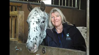 Spirituality and Healing with Horses - Compassion Dialogue with Sarah Jane Williamson
