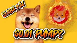 SHIBA INU НЕВЕРОЯТНЫЙ ВЗЛЕТ ЦЕНЫ! РОСТ СЖИГАНИЯ НА 300 000%! НО ПОЧЕМУ SHIBARIUM ПАДАЕТ? #SHIB