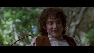 Сэм и Фродо покидают Шир