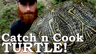 Catch and Cook WORLD'S MOST INVASIVE TURTLE! Ep08 | 100% WILD Food SURVIVAL Challenge!