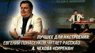 Лучшее для настроения: Евгений Понасенков читает рассказ А. Чехова «Сирена»!