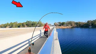 Fishing a Florida Bridge When Things Got Wild!
