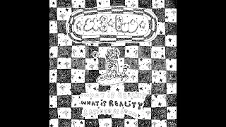 SK8BUS - What is Reality