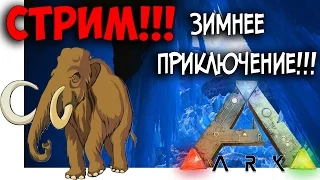 СТРИМ!!!ARK Survival Evolved - ЗИМНЕЕ ПРИКЛЮЧЕНИЕ!!! - ВЫЖИВАНИЕ В АРК!THE CENTER!!!PRIMITIV PLUS