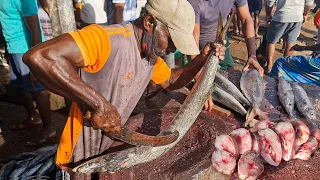 You Never Seen !!! World Giant Big Fish Cutting Live In Fish Market | Fish Cutting Skills Live Man
