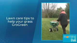 Lawn care tips to help your grass GroGreen