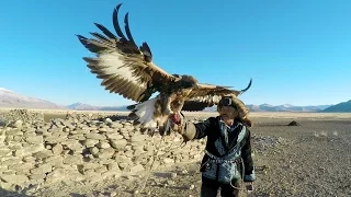 GoPro: Eagle Hunters in a New World