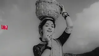 Tamilmovie| Baga Pirivinai |Thalaiyaam Poo Mudichu video songs | sivaji ganesan,B. Saroja Devi