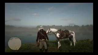 RDR2 - Getting Missouri Fox Trotter With Arthur in Arcadia for Amateurs Part III - Patch 1.26 - II