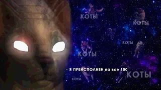 Вся правда о котах