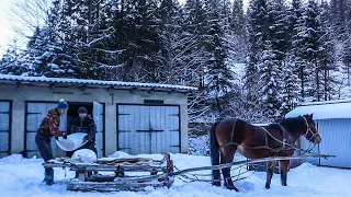 HOW THE HUTSULS CARRY PRODUCTS ON HORSES TO THE HOUSE IN THE MOUNTAINS. HARD LIFE IN THE CARPATHIANS