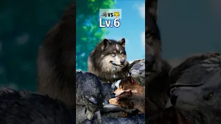 😭Whole family is destroyed🐾Let's see how Brother Wolf will stand up and take revenge! #wolfgame