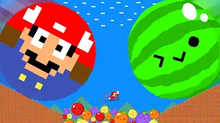 Mario's Marble Race vs. the Giant Watermelon Game (Suika Game) Calamity!