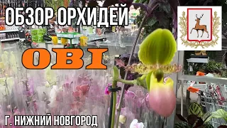 Обзор орхидей в магазине ОБИ || Поездка в Нижний Новгород || Новики из отпуска