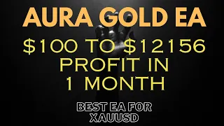 Aura Gold EA Forex MT4 EA Feb 2024 Month Profit | Best forex robots
