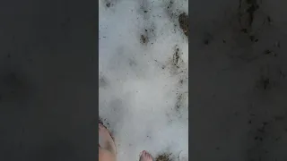 Walking on Snow Barefoot