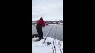 Monster Fish pulls man over cliff edge!!