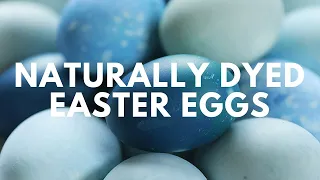 How to Dye Easter Eggs with Cabbage and Get Bright Colors!