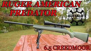 Ruger American Predator Hunting Rifle 6.5 Creedmoor ~ THE GOOD, THE BAD AND THE ACCURATE!!
