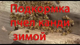 Подкормка пчел канди зимой