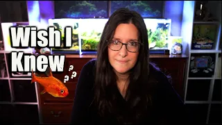 10 THINGS I Wish I Knew BEFORE Choosing Nano Fish!