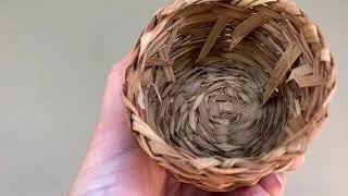 Harvesting Himalayan Blackberry Bark