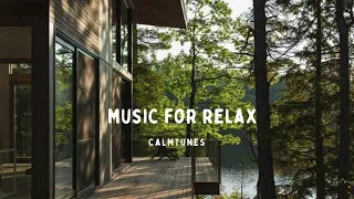 Music for relax|| music for you