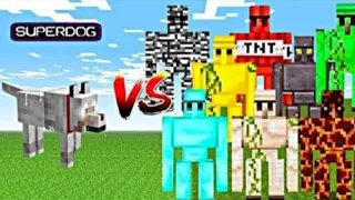 SUPERDOG VS ALL GOLEMS MINECRAFT MOB BATTLE