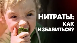 НИТРАТЫ В ПРОДУКТАХ: КАК ИЗБАВИТЬСЯ? | Клиника Online