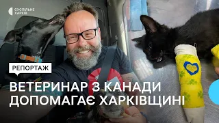 «Я вражений українцями». Ветеринар-волонтер з Канади рятує тварин з прифронтових сіл Харківщини