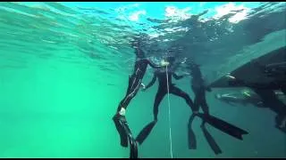 Freediving at Deans Blue Hole