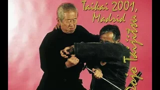 Bujinkan Dojo Taijitsu : Taikai de Madrid 2001 Vol.1